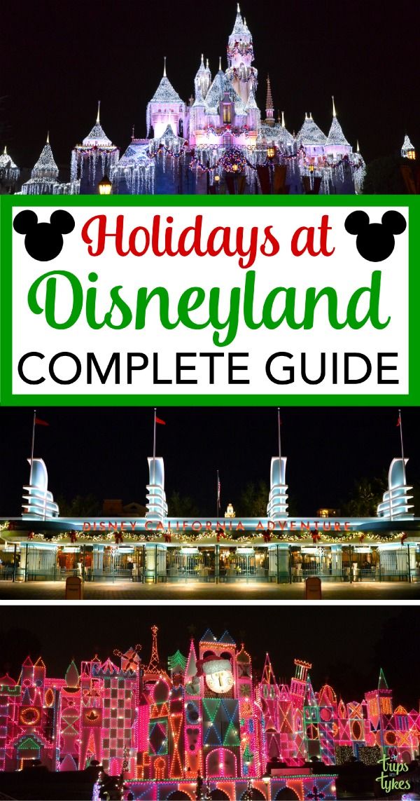 Disneyland Christmas 2024 Vacation Deals And Packages