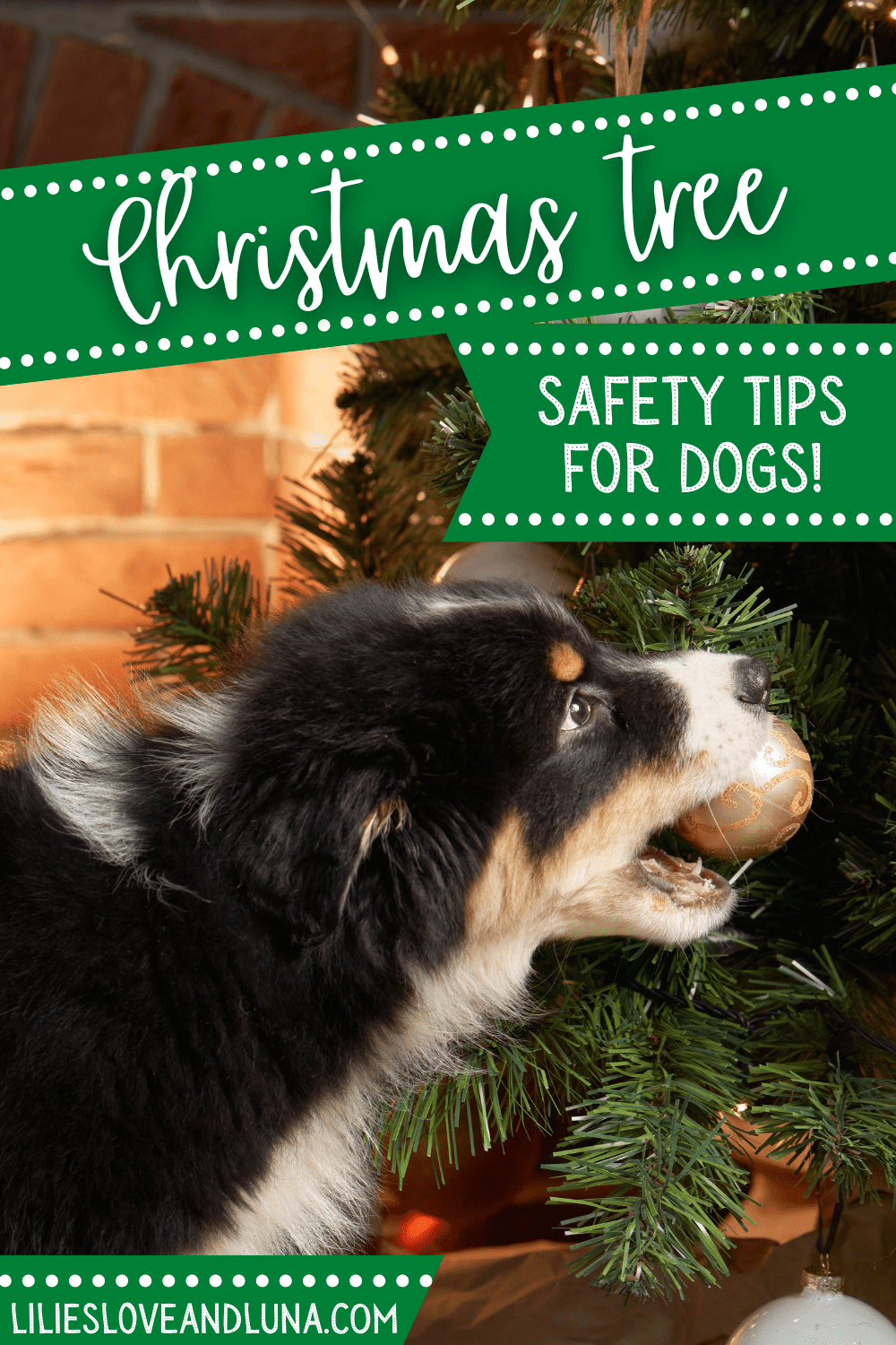 Dog-Proofing Christmas Tree Tips