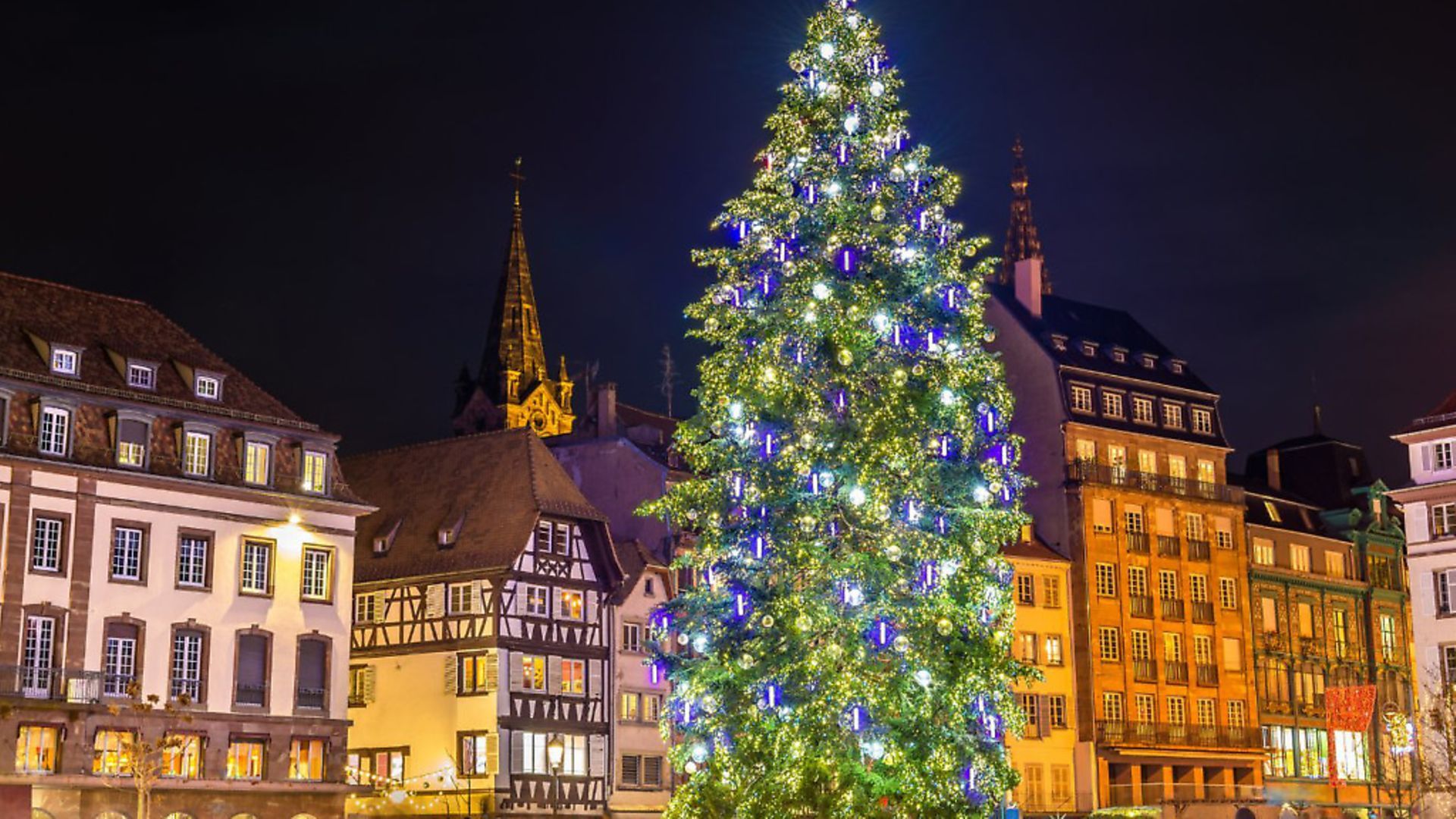 France Christmas Trees