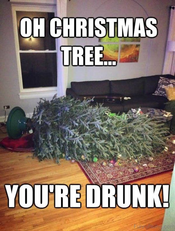 Funny Christmas Tree Memes