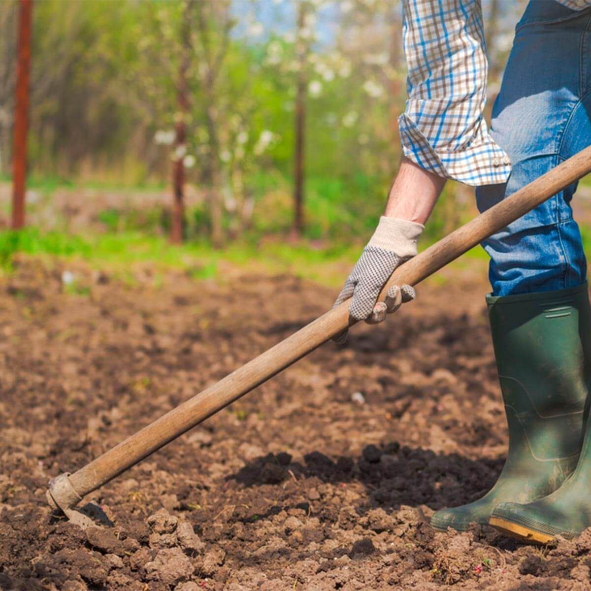 garden soil prep