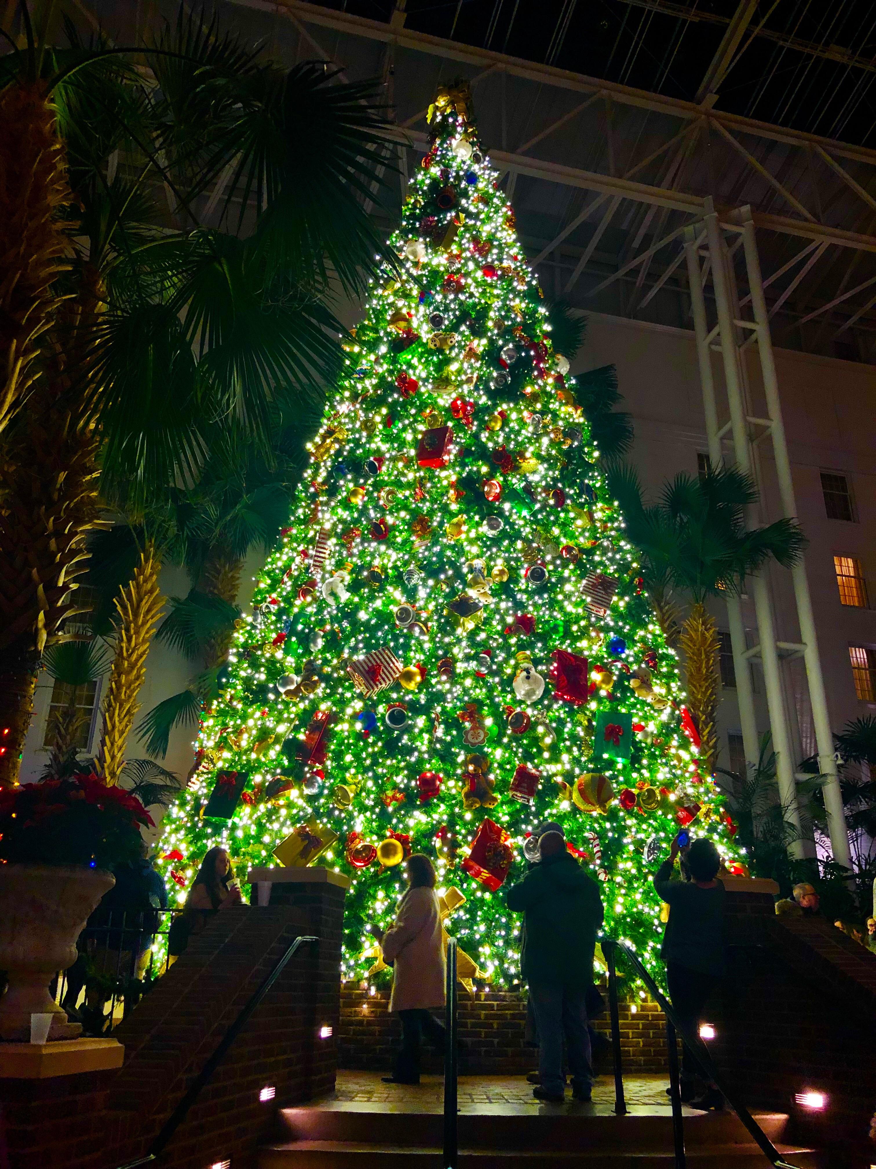 Gaylord Opryland Christmas Tree