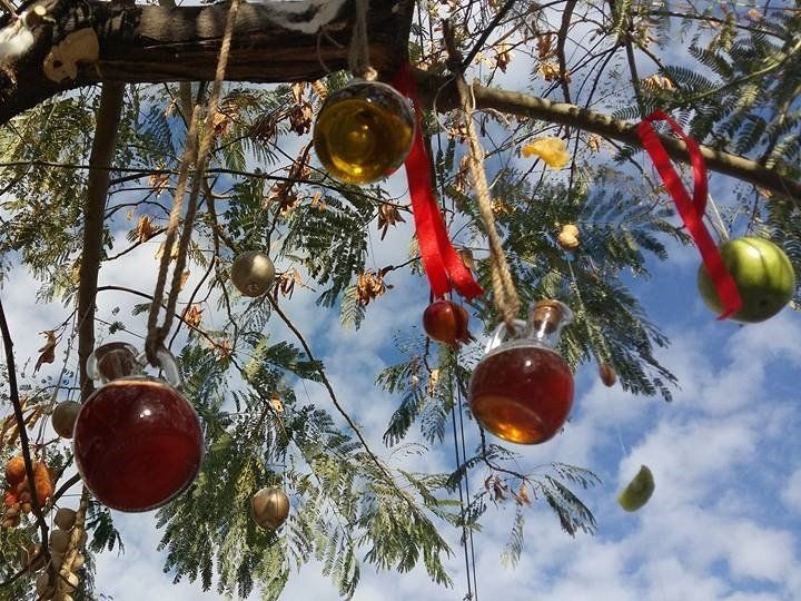 Greek Christmas Tree Lemon Tree