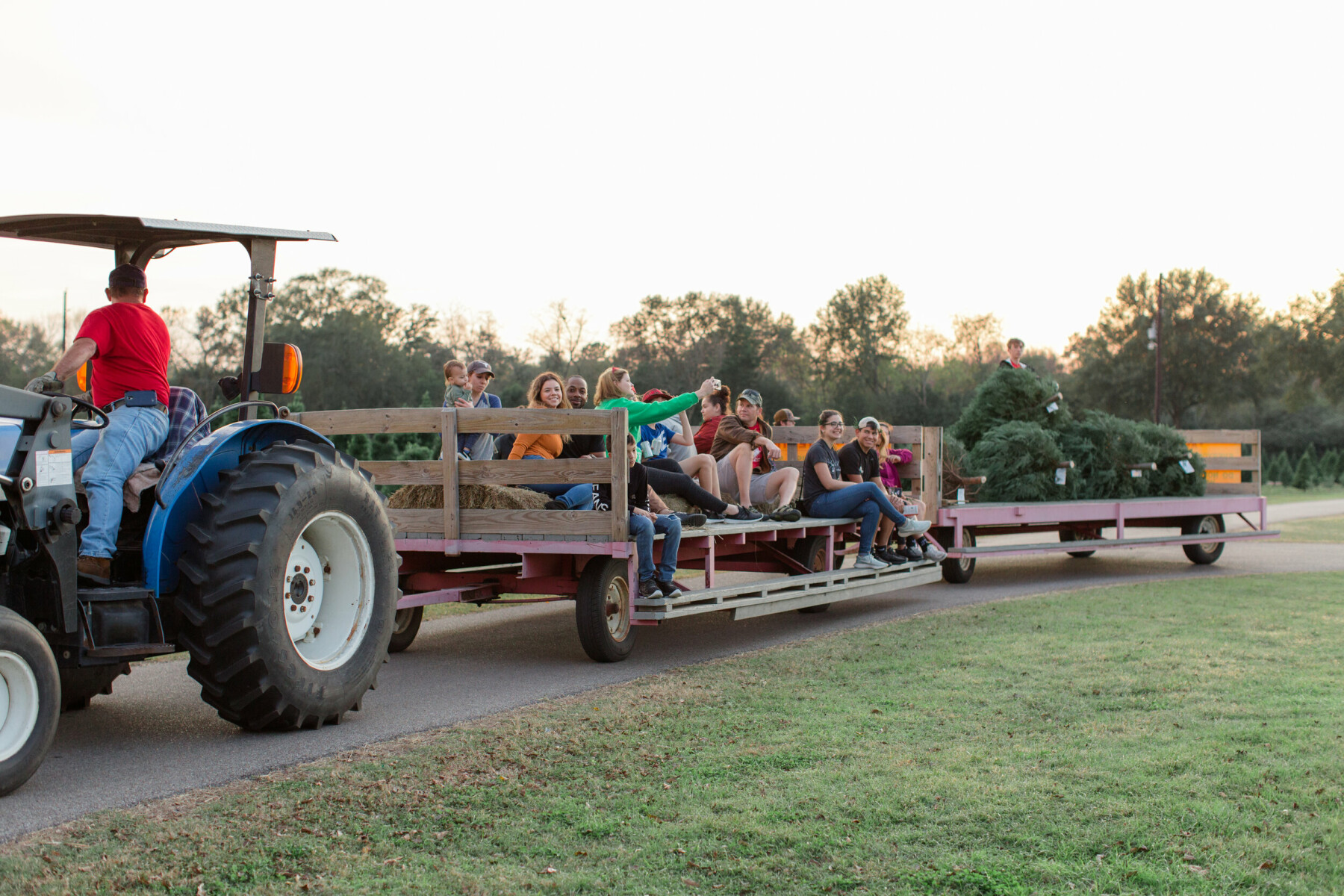 Hayride Christmas tree farm