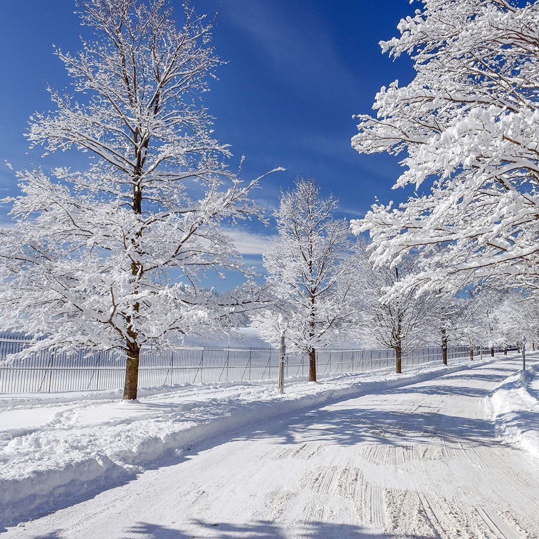 Highland Park's Winter Wonderland