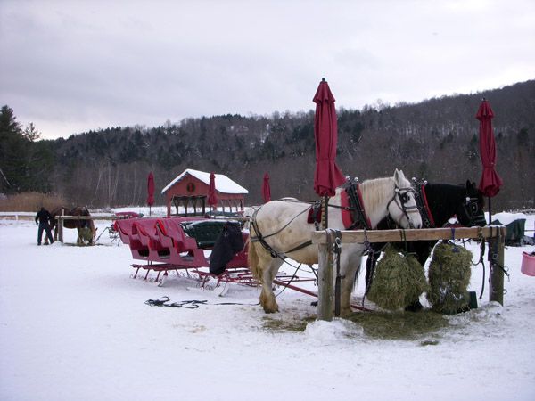 Horse-Drawn Sleigh Ride Vermont