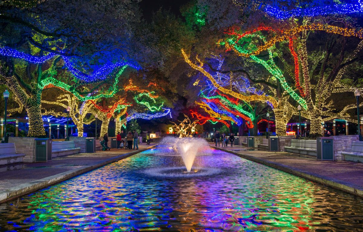 Houston Zoo Lights