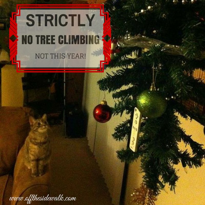 keep cat from climbing christmas tree