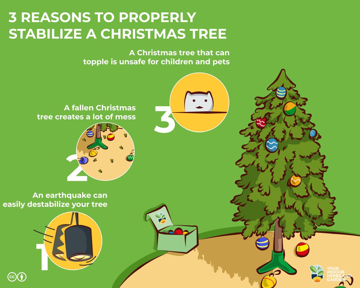 Keep Christmas Tree Out of Reach