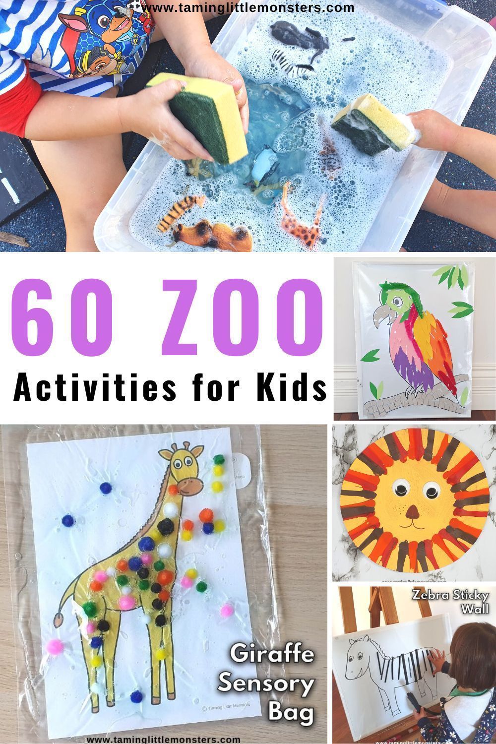 Kids museum and zoo activities