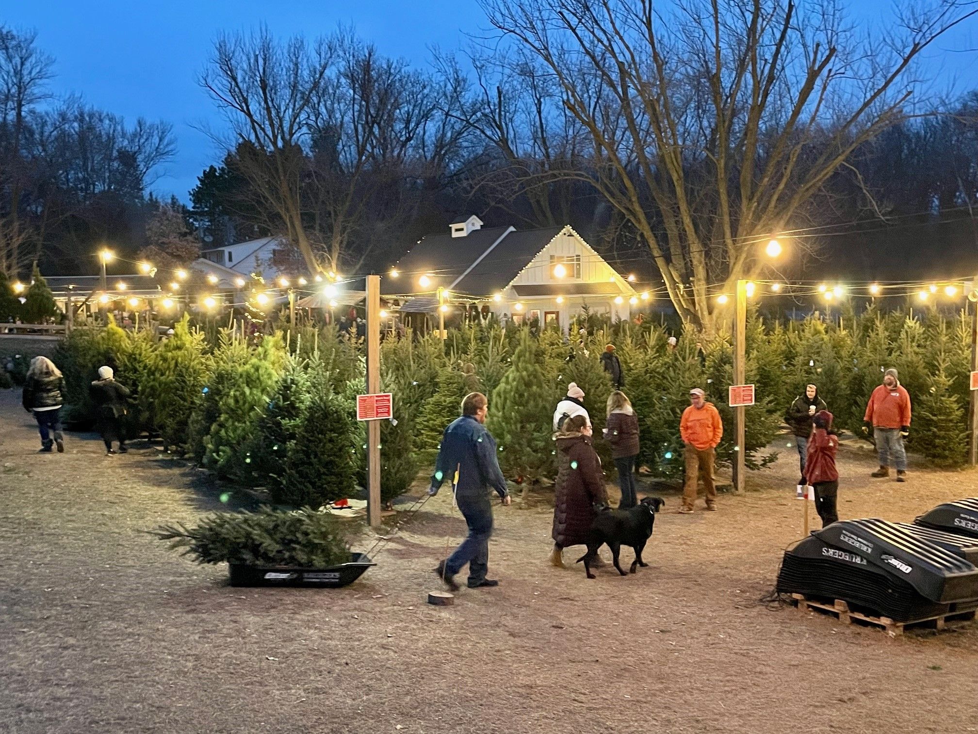 Krueger's Christmas Tree Farm