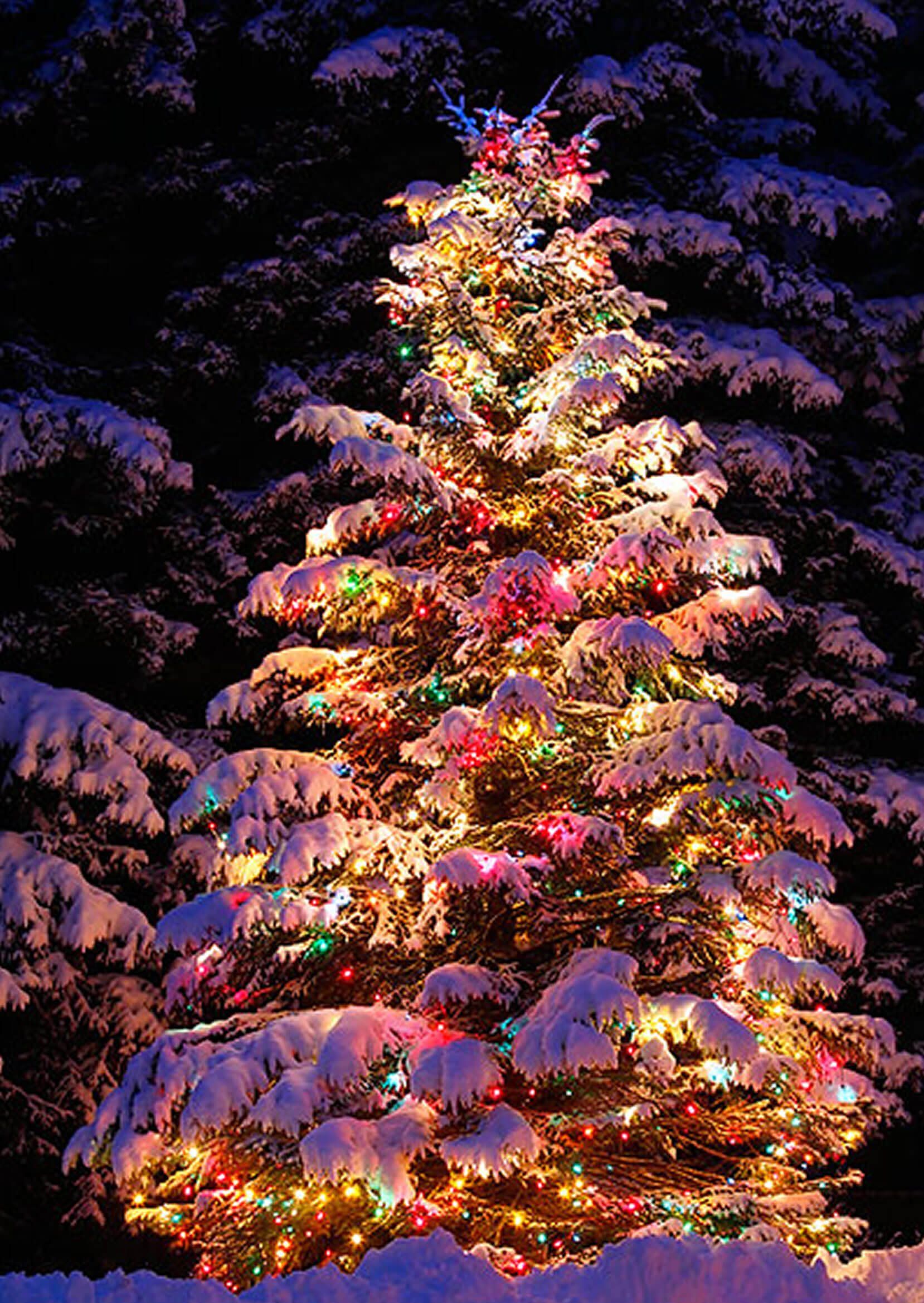 Lighted Christmas Tree Ideas