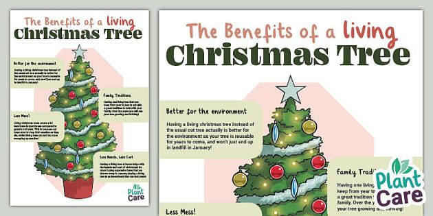 Live Christmas Tree Benefits