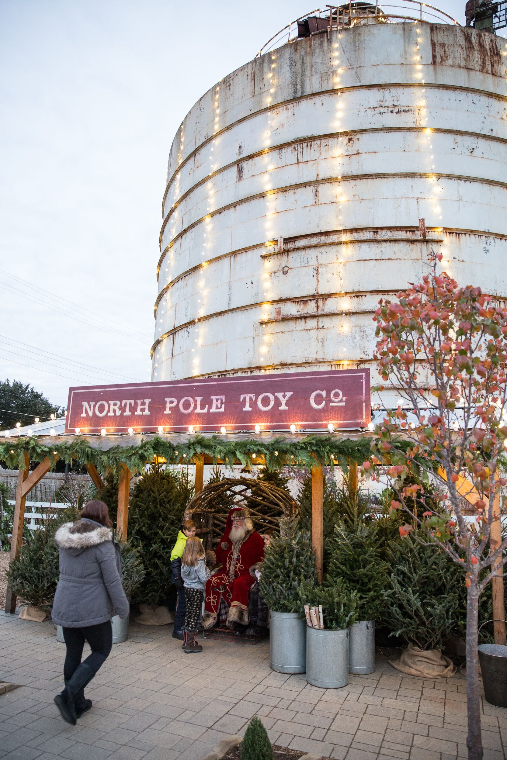 Magnolia Christmas Tree Farms