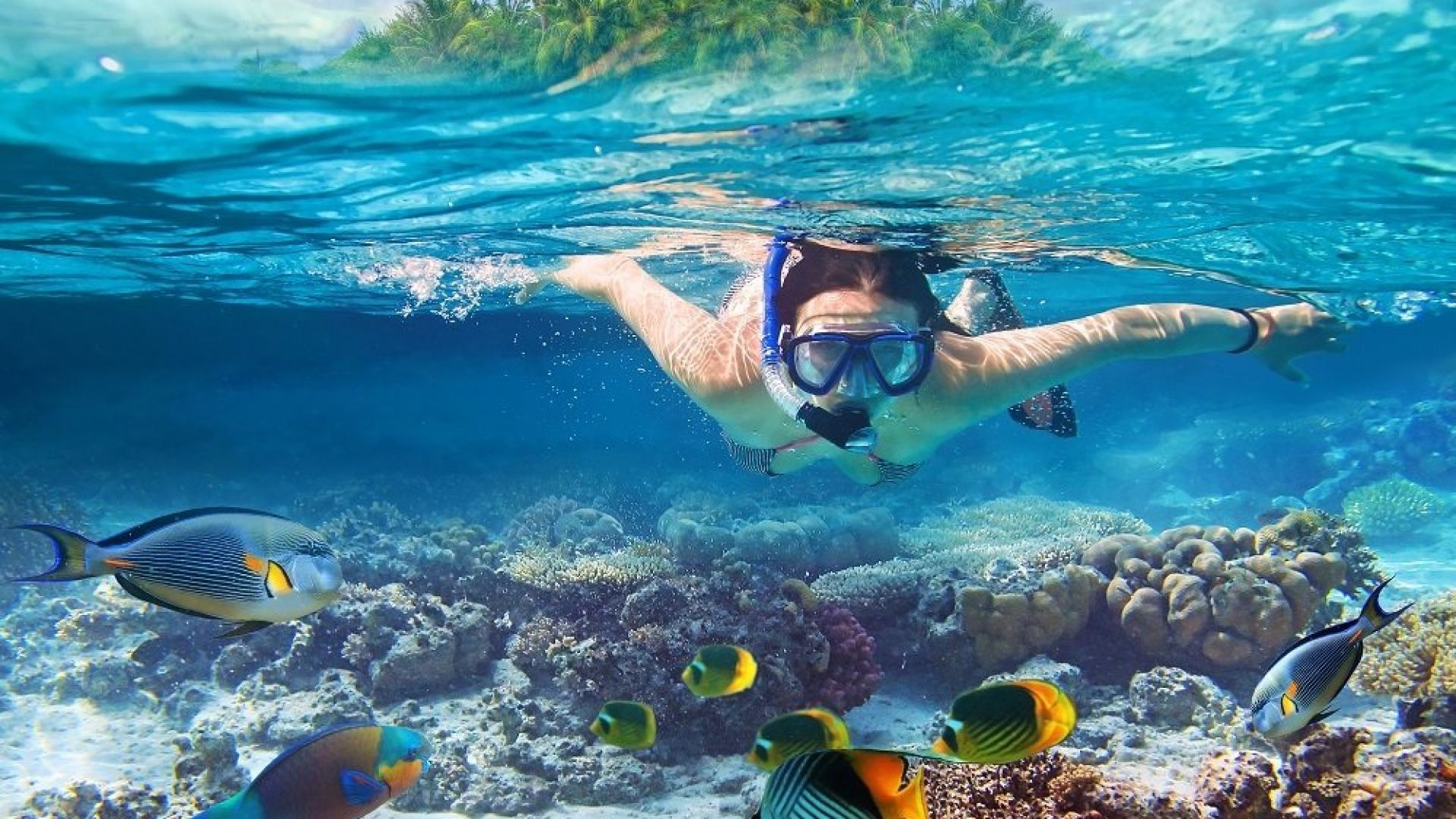 Maldives Snorkeling