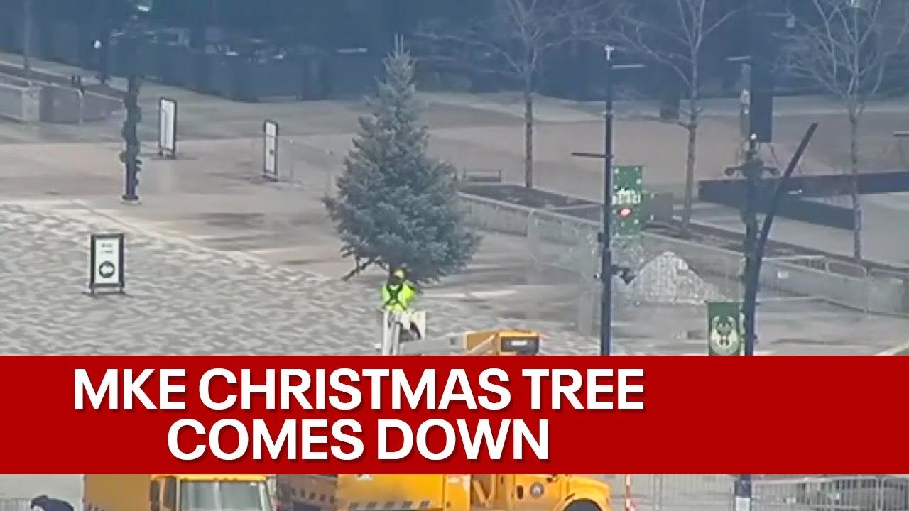 Milwaukee Christmas Tree Drop Off