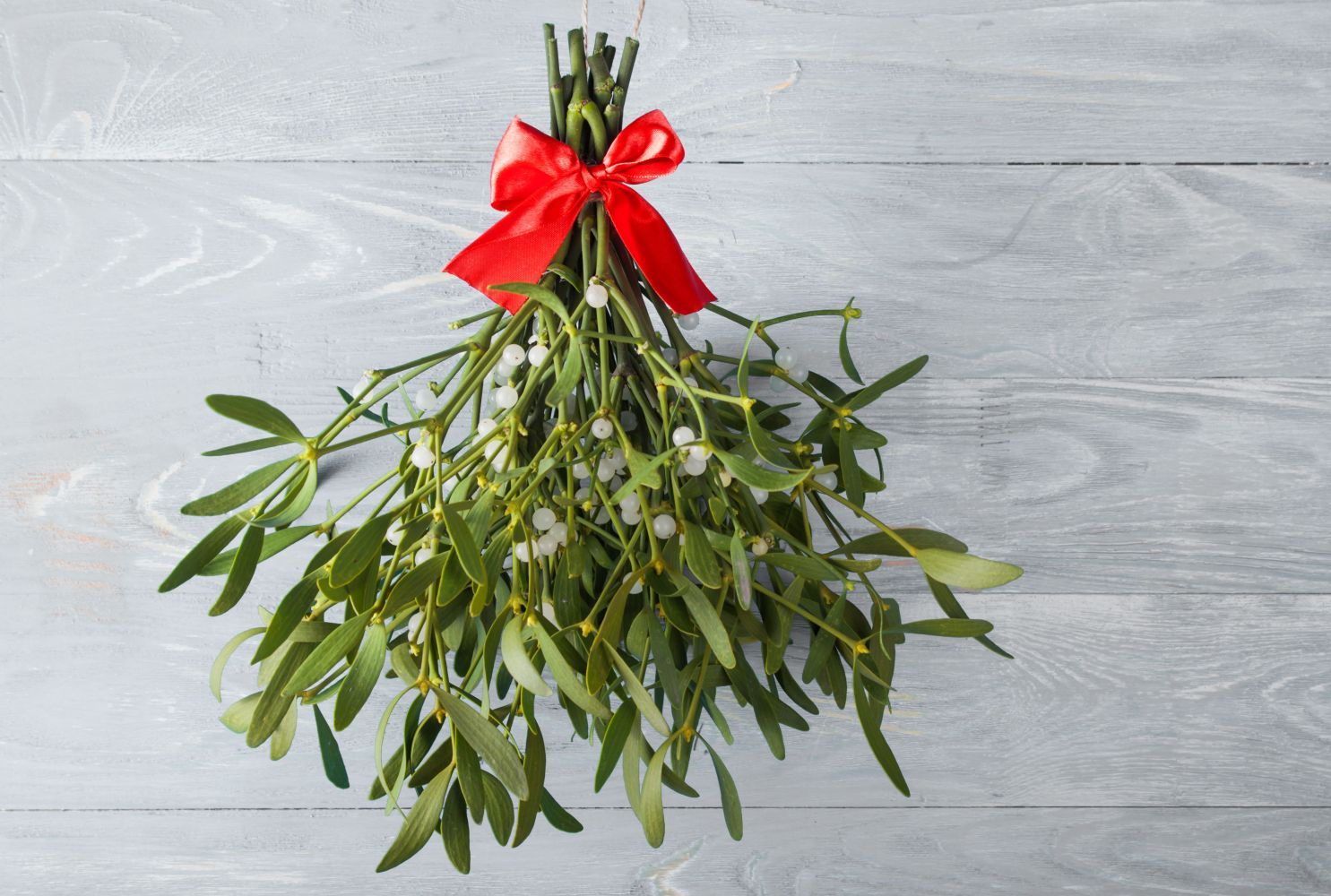 Mistletoe Traditions