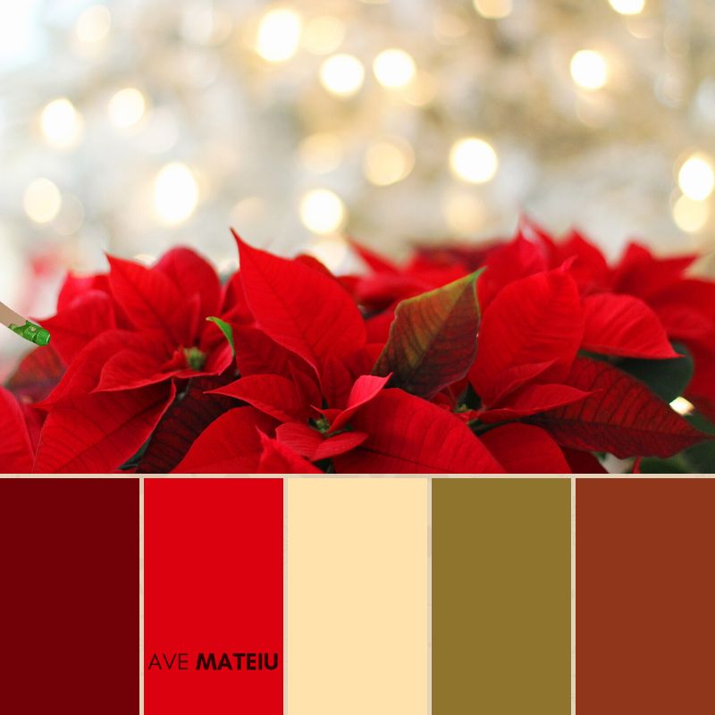 Monochromatic Christmas Color Schemes