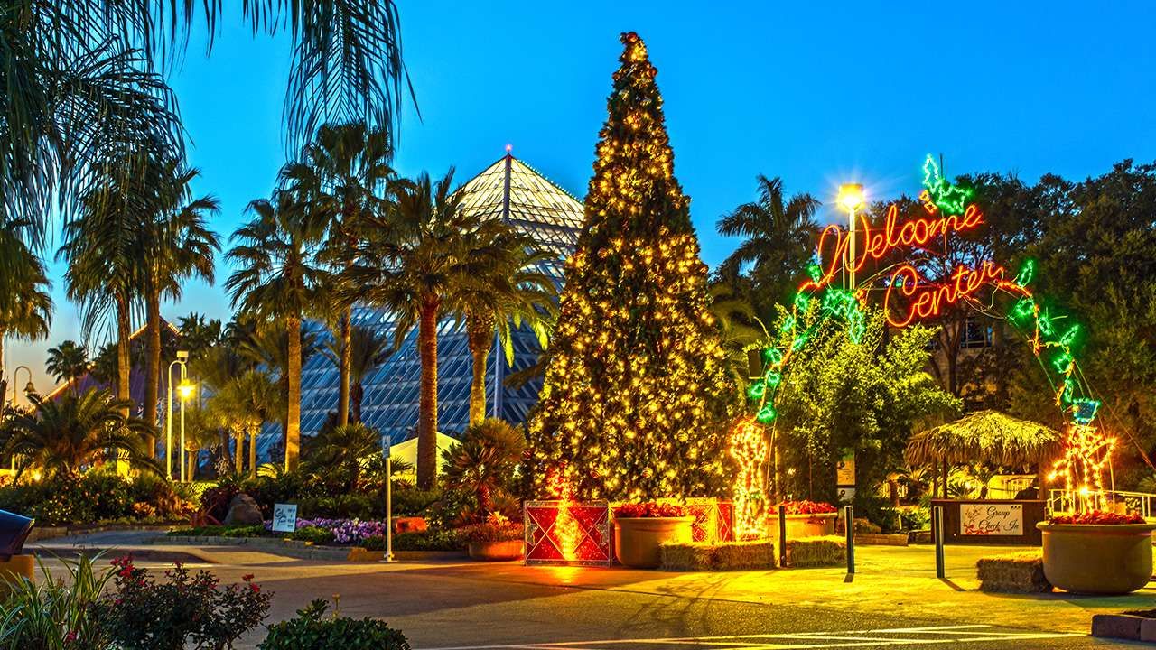 Moody Gardens Festival of Lights