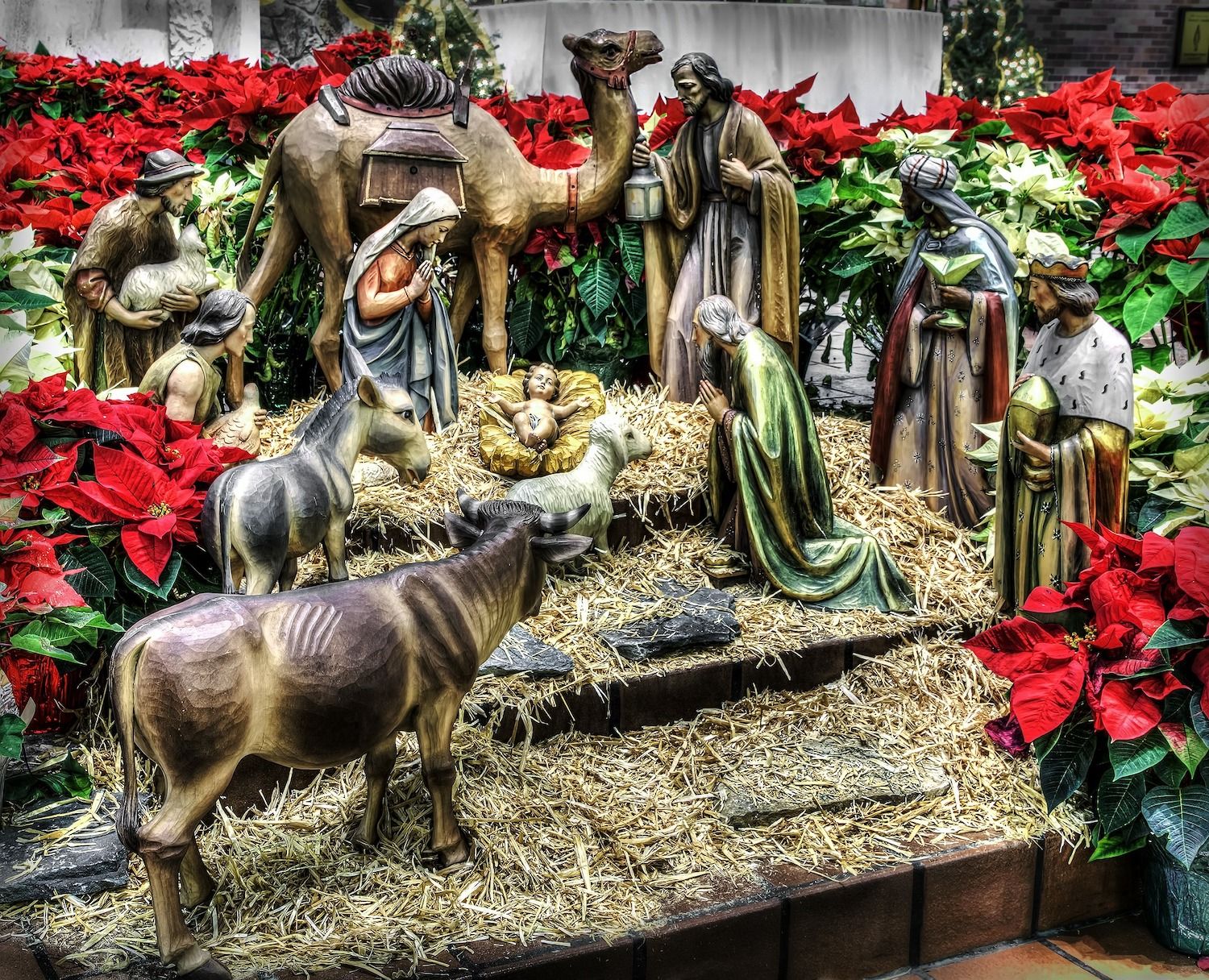 Nacimiento Nativity Scene