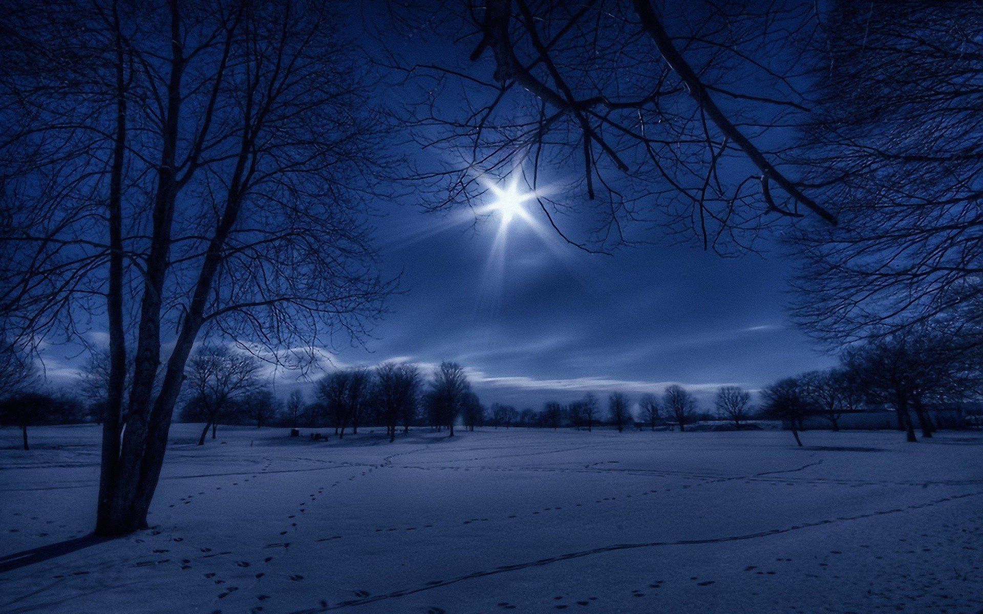 Peaceful Winter Night