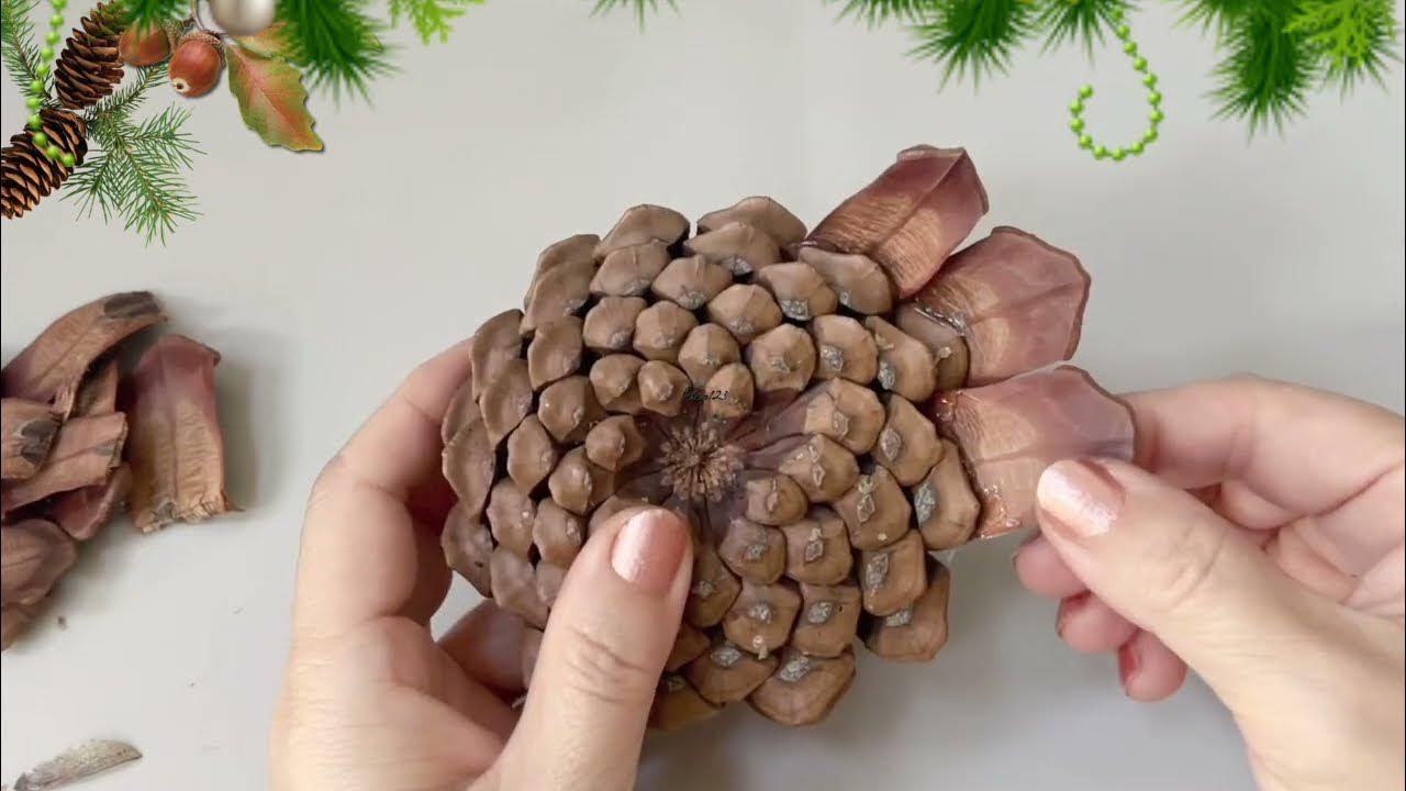 Pinecone Crafts