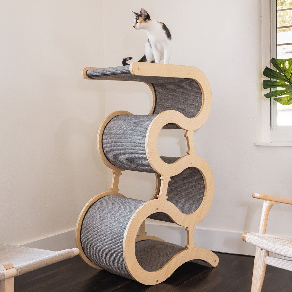 Popular cat scratching trees