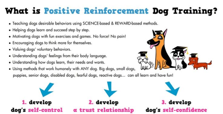 Positive Reinforcement Training