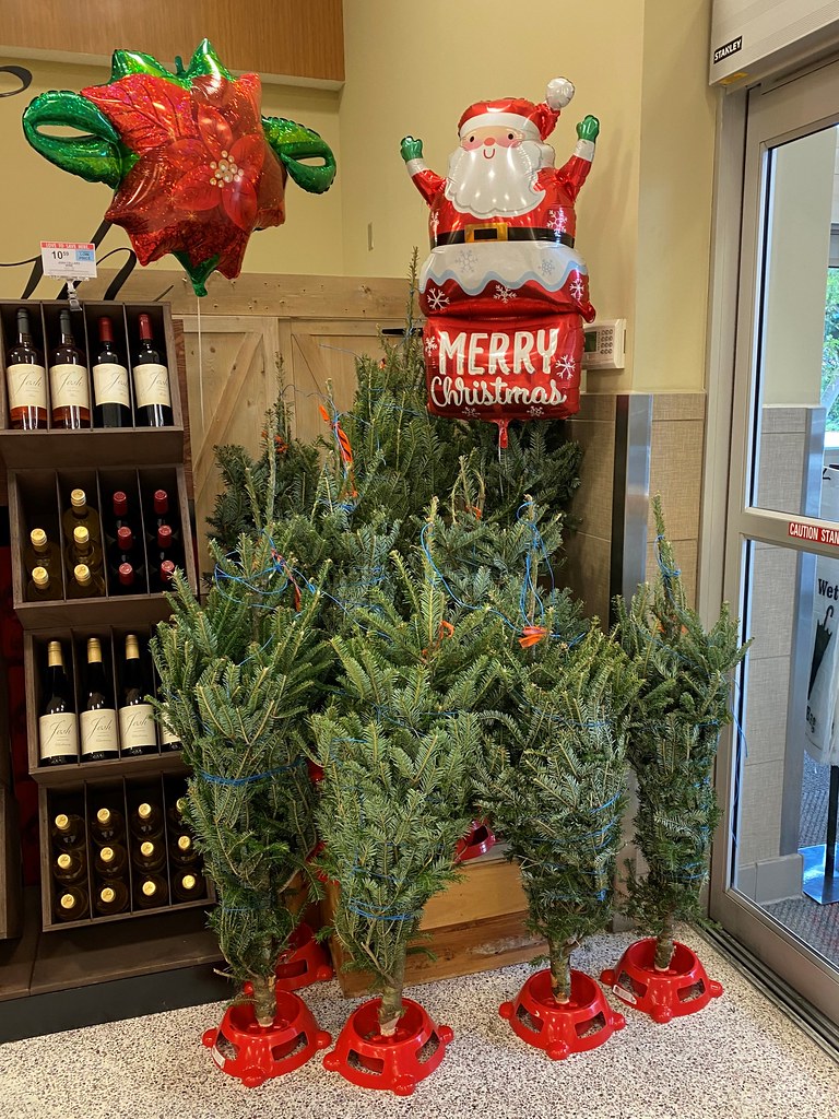 Publix Christmas Trees: Fresh Cuts And Convenient Locations