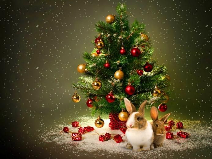 rabbits and christmas trees 3