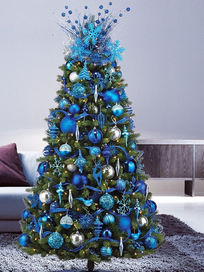 Real Blue Christmas Trees For A Unique Holiday Season