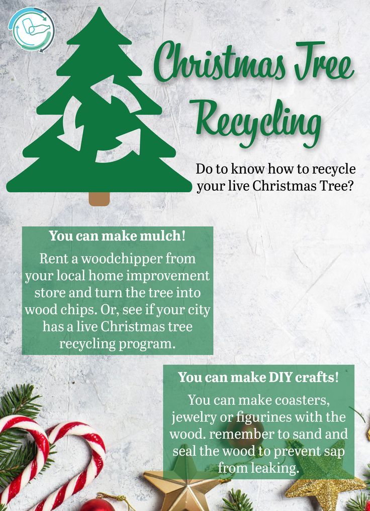 Recycling Your Live Christmas Tree