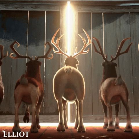 Funny Reindeer Antics GIF