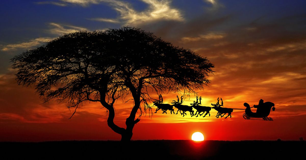 Serengeti Christmas