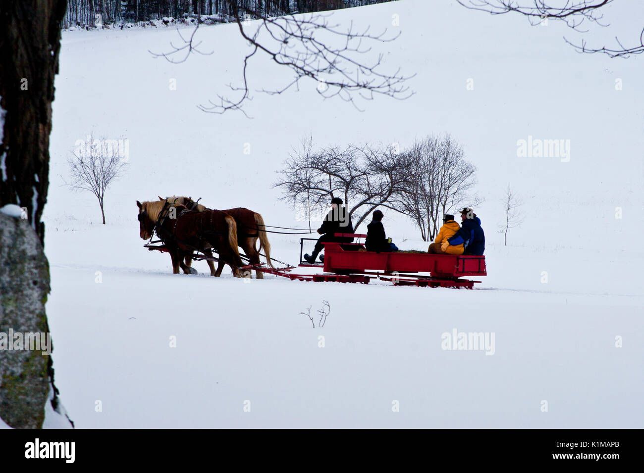 Sleigh ride through snow-covered countryside