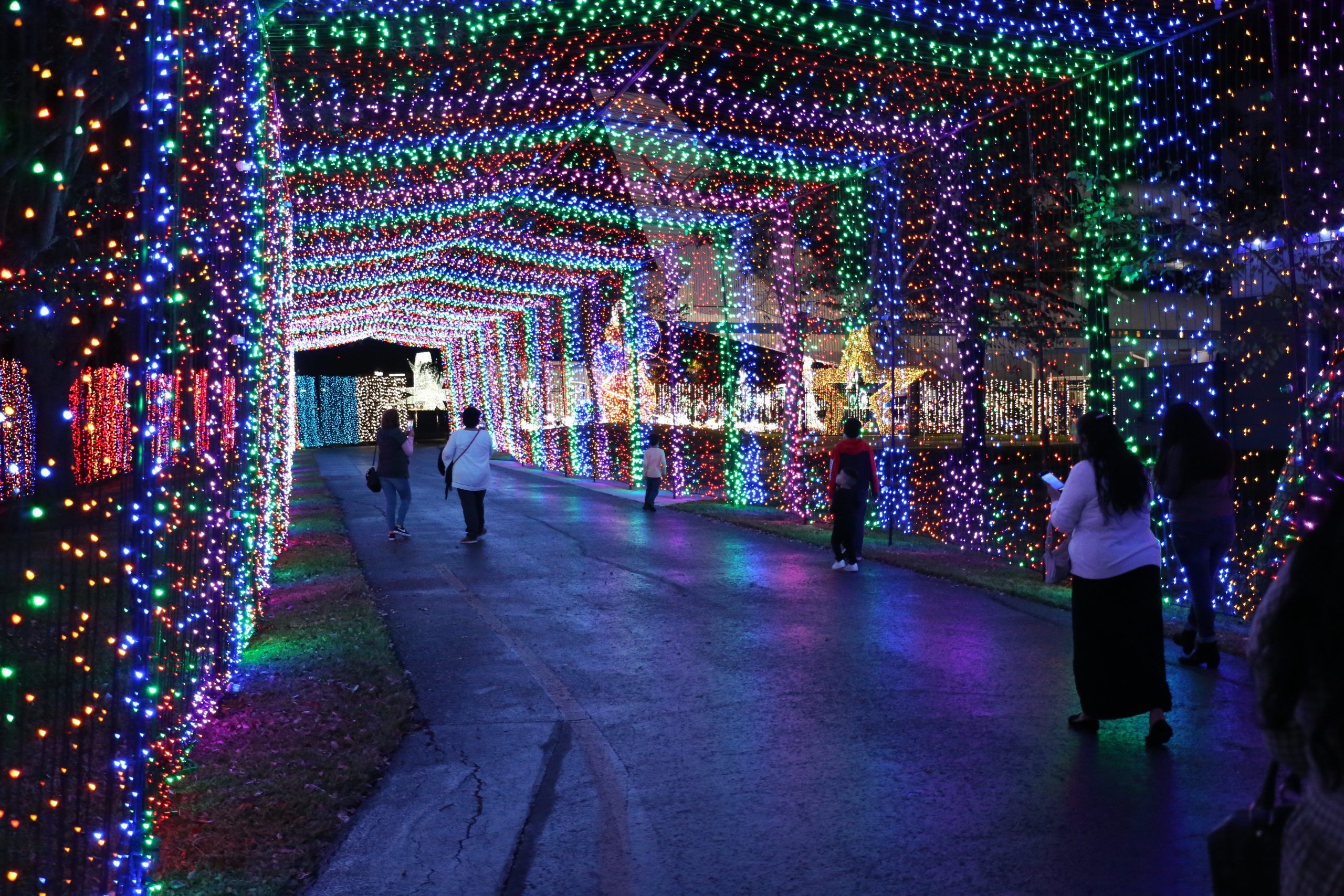 Space Center Houston Galaxy Lights