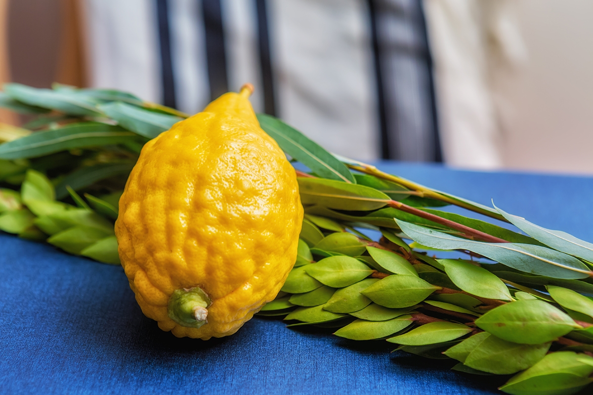 Sukkot