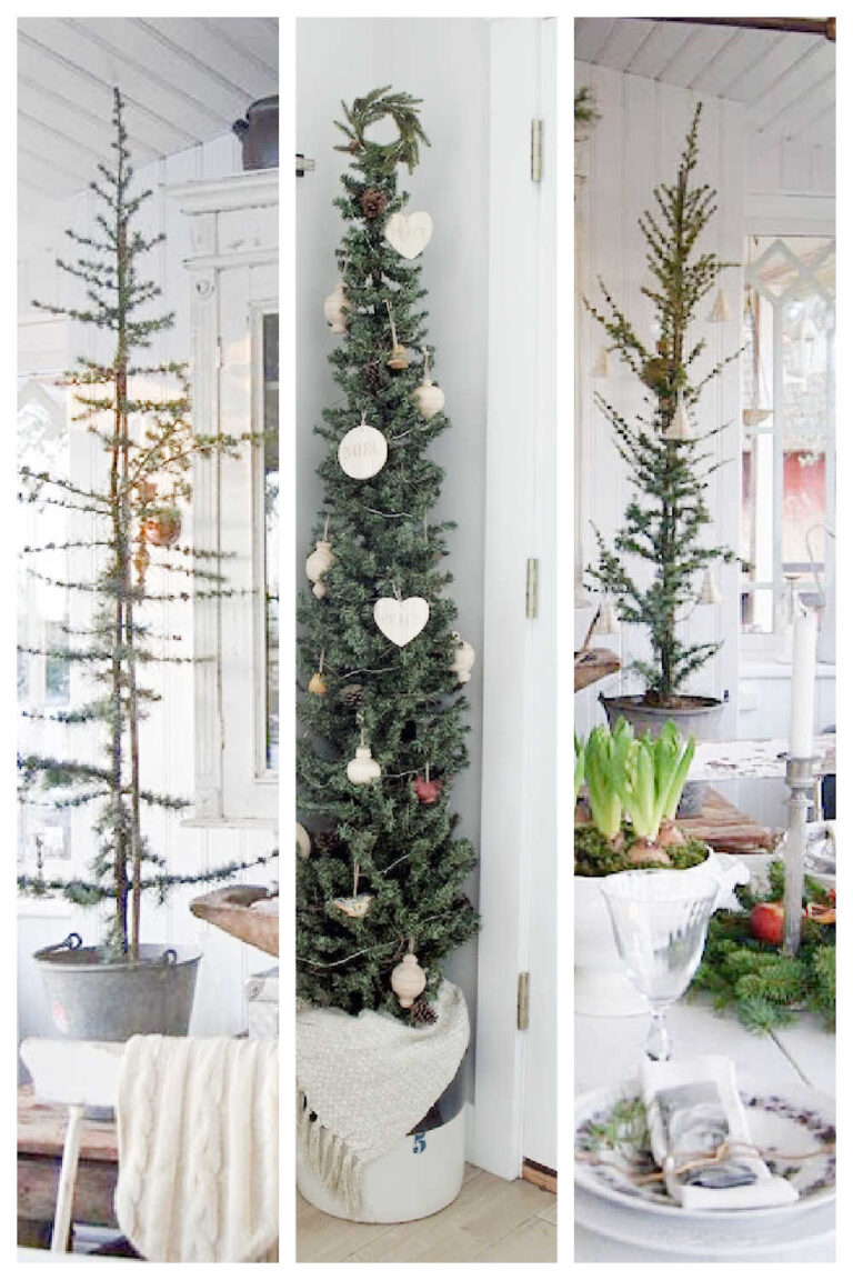 Thin Real Christmas Trees For Small Spaces Delight