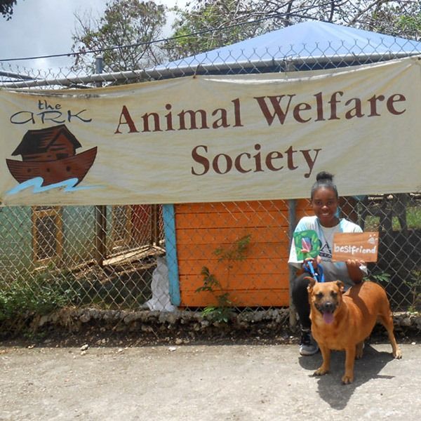 Volunteer in Barbados