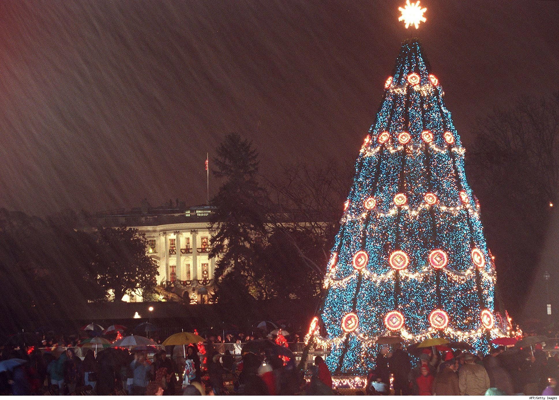 White House Christmas Tree at Night