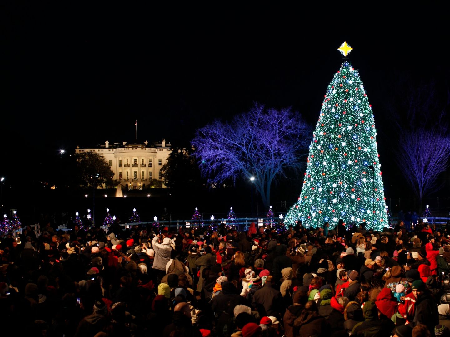 White House Christmas Tree Lighting