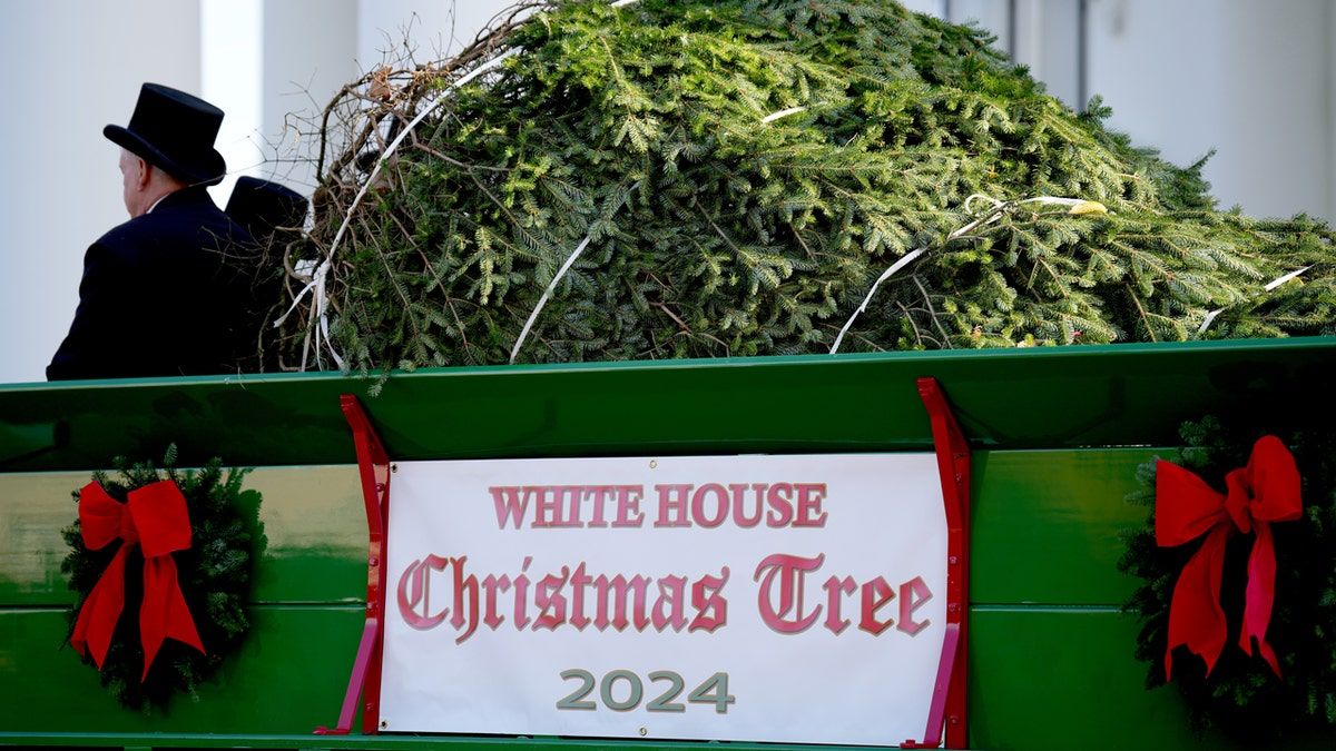 White House Christmas Tree