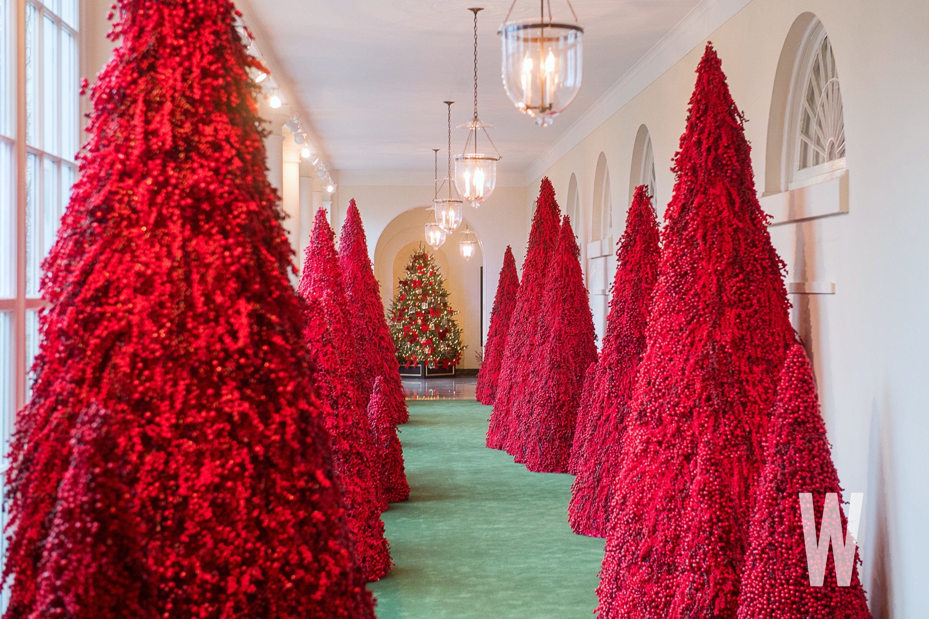 White House Red Christmas Tree