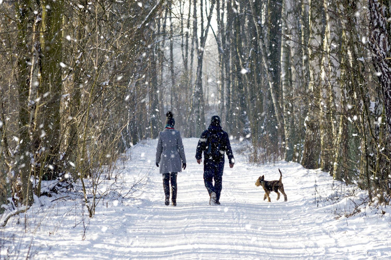 Winter walks