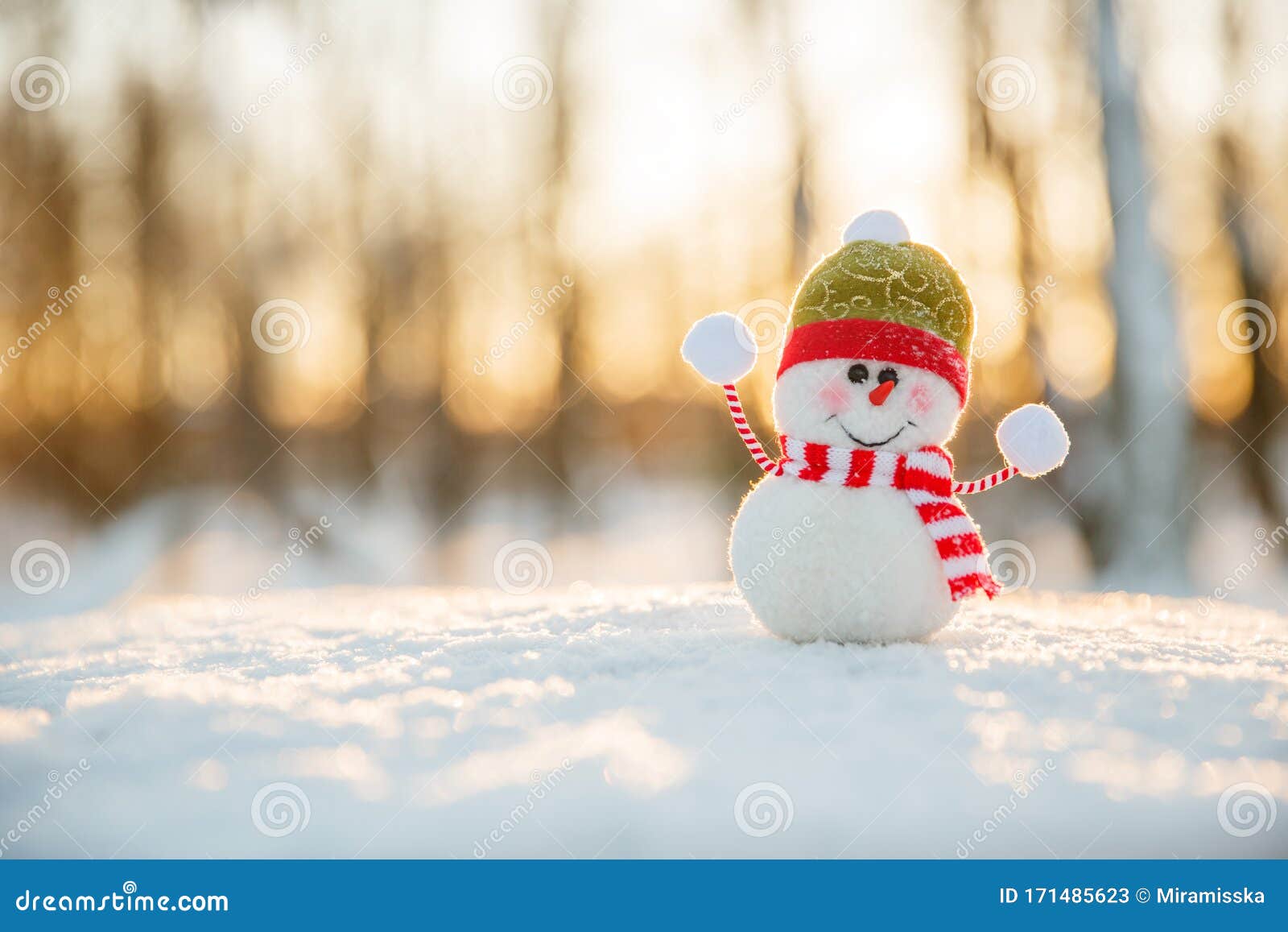 Winter Wonderland Scene with Snowman