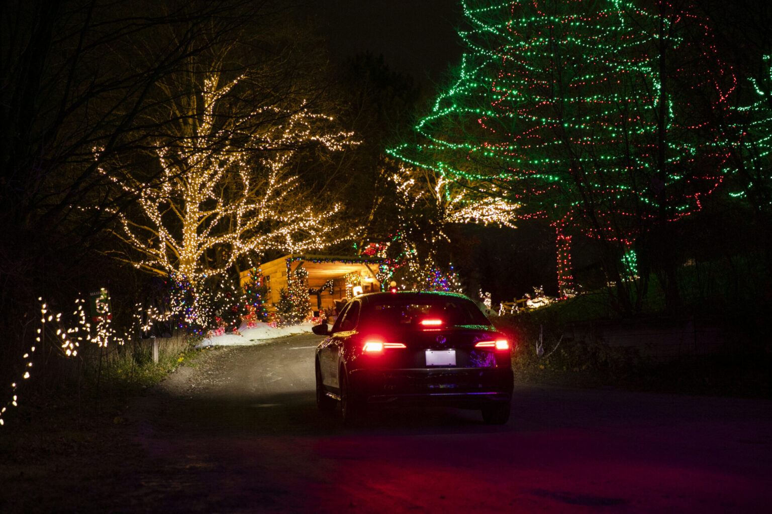 Canadian Tire Christmas Trees