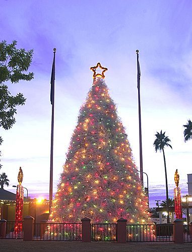 Chandler Christmas Tree Decorations