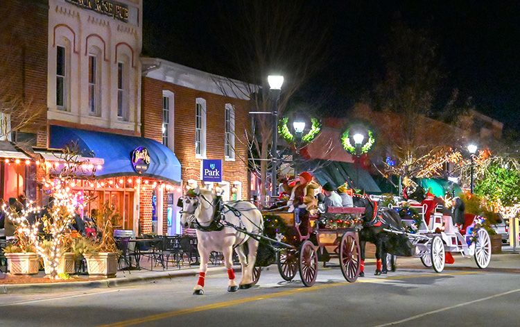 Hendersonville, NC, Christmas Tree Farms