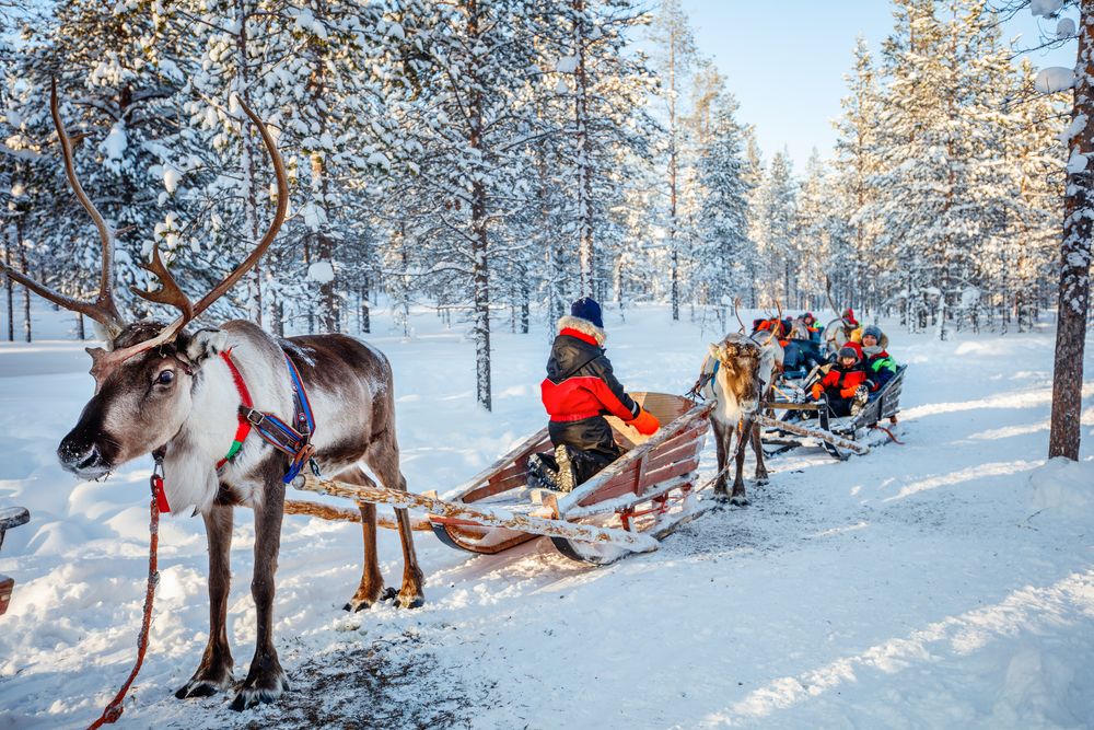 Lapland Christmas holidays activities