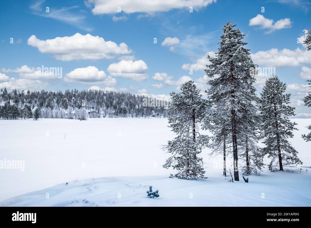 Lapland winter landscape